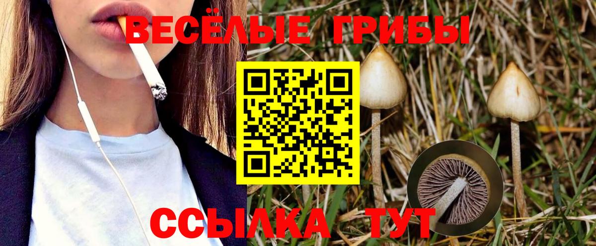 Галлюциногенные грибы мухоморы  Вход с VPN  Аксай 