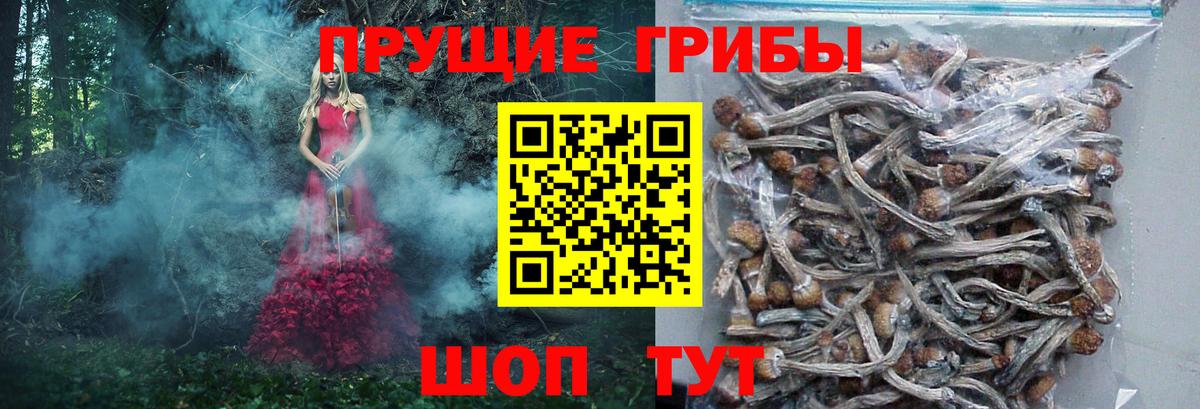 Псилоцибиновые грибы Magic Shrooms Аксай